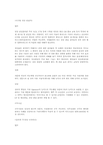 컴퓨터,인터넷 관련직종(업무.조건.전망)-14