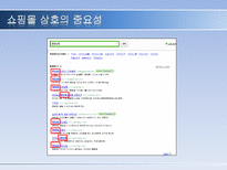 쇼핑몰 홍보 레포트-17