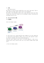 국내 제조기업의 Six Sigma 추진사례 포스코 6시그마 성공사례 조사 포스코 6시그마 분석 포스코 6시그마 추진과정 포스코 6시그마 세부전략 포스코 6시그마 활동성과 포스코 6시그마 WK SETTL-3