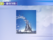 수질개선을 위한 정부ㆍ주민간 환경협약 사례 대포천의 수질개선ㆍ유지를 중심으로-2