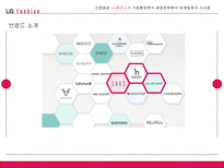 전략경영론 LG패션 소개 기업 환경 분석 경영 전략 분석 마케팅 분석 시사점-8