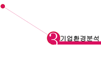 전략경영론 LG패션 소개 기업 환경 분석 경영 전략 분석 마케팅 분석 시사점-12