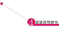전략경영론 LG패션 소개 기업 환경 분석 경영 전략 분석 마케팅 분석 시사점-18