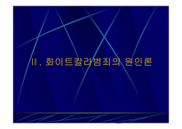 신종범죄의 결정체 화이트칼라 범죄 화이트칼라 범죄 정의 화이트칼라 범죄 원인-14