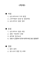 국제 경영론 주 미원의 인도네시아 진출 사례 주 미원 인도네시아 투자 환경-2