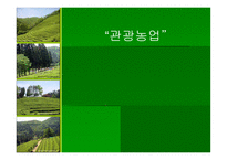 관광농업 레포트-1