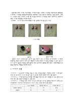 신제품 출시 계획 보고서, 줄먹는 달팽이, 제품소개, 아이디어 수집-3