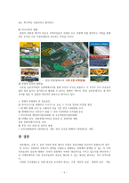 공공갈등 수원 군 공항이전사업을 중심으로 정치경제학-7