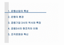 국민 우리 신한 은행의 조직 이해 은행산업 특성 은행 환경 금융기업 역사-2
