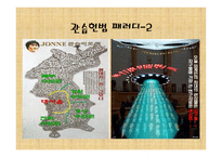행정수도이전과 관습헌법-12