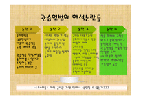 행정수도이전과 관습헌법-13