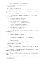 비교발전행정론 인도네시아 Indonesia-8