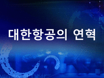 대한항공 분석 아시아나 항공과의 비교분석을 중심으로 대한항공 시설-3