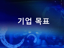 대한항공 분석 아시아나 항공과의 비교분석을 중심으로 대한항공 시설-8