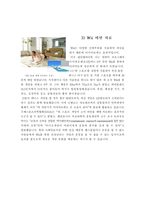 닌텐도 닌텐도 소개 닌텐도 WII 성공신화 닌텐도 WII 마케팅 전략-11