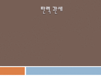 탄력 관세 레포트-1
