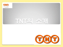 국제물류기업 TNT TNT 소개 TPG 역사 TPG 현황 TNT KOREA TNT 물류전략-3