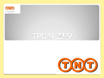 국제물류기업 TNT TNT 소개 TPG 역사 TPG 현황 TNT KOREA TNT 물류전략-9
