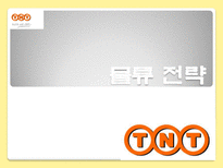 국제물류기업 TNT TNT 소개 TPG 역사 TPG 현황 TNT KOREA TNT 물류전략-16