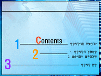 방송시장의 경쟁상황과 불공정 경쟁 이슈 분석-2