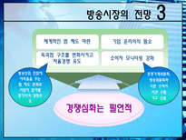 방송시장의 경쟁상황과 불공정 경쟁 이슈 분석-13