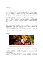 사회적기업론 커피 속에 꿈과 희망을 담다 카페다이렉트 카페다이렉트 창립과정-3