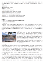 다국적 호텔 기업의 스위스 호텔 전략-9