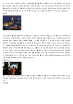 다국적 호텔 기업의 스위스 호텔 전략-11