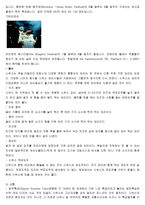 다국적 호텔 기업의 스위스 호텔 전략-13
