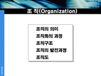 사업부 조직 레포트-4