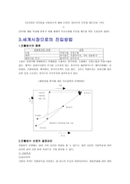 국제화 전략 기업 환경 글로벌화 기업 국제화 전략 방향 기업 세계시장 진입방법-6