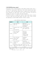 국제화 전략 기업 환경 글로벌화 기업 국제화 전략 방향 기업 세계시장 진입방법-10