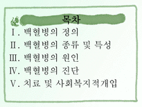 백혈병 사회복지-2