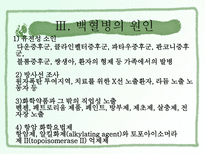 백혈병 사회복지-10