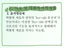 백혈병 사회복지-14