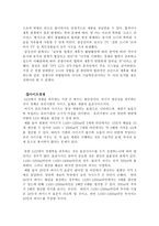 삼성LCD 해외시장점유율 1위로 등극하게 된 배경과 전략 삼성LCD 성장과정 삼성LCD-6