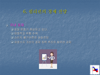 필리핀 경제의 발전과 전망-15