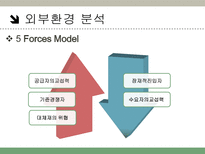 데톨 데톨 소개 데톨 외부환경 분석 데톨 내부환경 분석-8