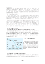 신세계 이마트 글로벌 시장전략 및 글로벌 마케팅 전략 분석-7