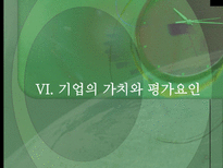 재무관리 레포트-19