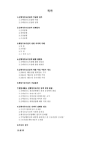 신행정수도건설 신행정수도건설 이념 신행정수도건설 성격-1