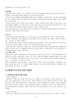 신행정수도건설 신행정수도건설 이념 신행정수도건설 성격-4
