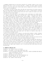 신행정수도건설 신행정수도건설 이념 신행정수도건설 성격-10