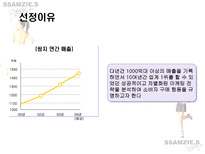 소비자 행동 쌈지 마케팅 전략 쌈지 회사 개요 쌈지 연혁 쌈지 브랜드 분석-2