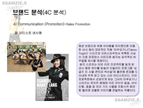 소비자 행동 쌈지 마케팅 전략 쌈지 회사 개요 쌈지 연혁 쌈지 브랜드 분석-13