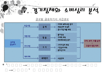 우리나라의 경기침체상황과 가계소비심리 및 소비자 물가의 관계 조사-13