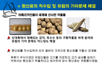 콜럼버스의 대서양 항해 물류 경제적 측면 콜럼버스 항해목적 콜럼버스 콜럼버스-19