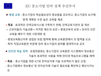 유럽연합 각 국의 중소기업 인력수급 지원 정책 중소기업 인력지원 정책 EU및 가맹국 EU 중소기업 인력 정책 독일 중소기업 인력 정책 프랑스 중소기업 인력 정책 영국 중소기업 인력 정책-7