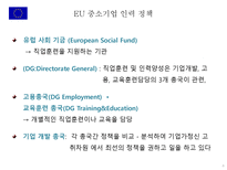 유럽연합 각 국의 중소기업 인력수급 지원 정책 중소기업 인력지원 정책 EU및 가맹국 EU 중소기업 인력 정책 독일 중소기업 인력 정책 프랑스 중소기업 인력 정책 영국 중소기업 인력 정책-8