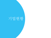 기업정보의 이해 포스코-3